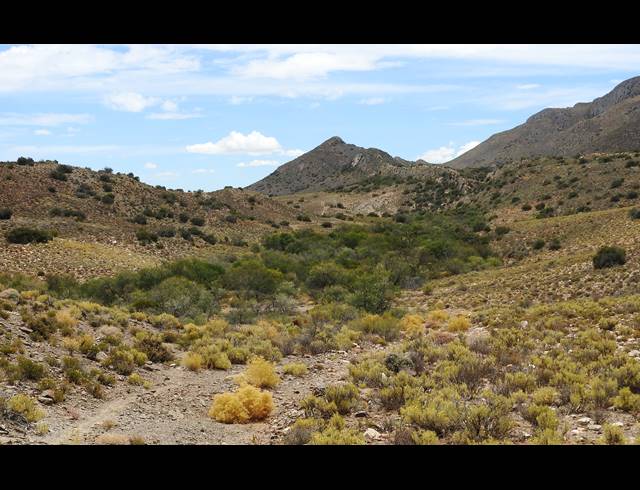 390HA FARM FOR SALE IN PRINCE ALBERT RURAL